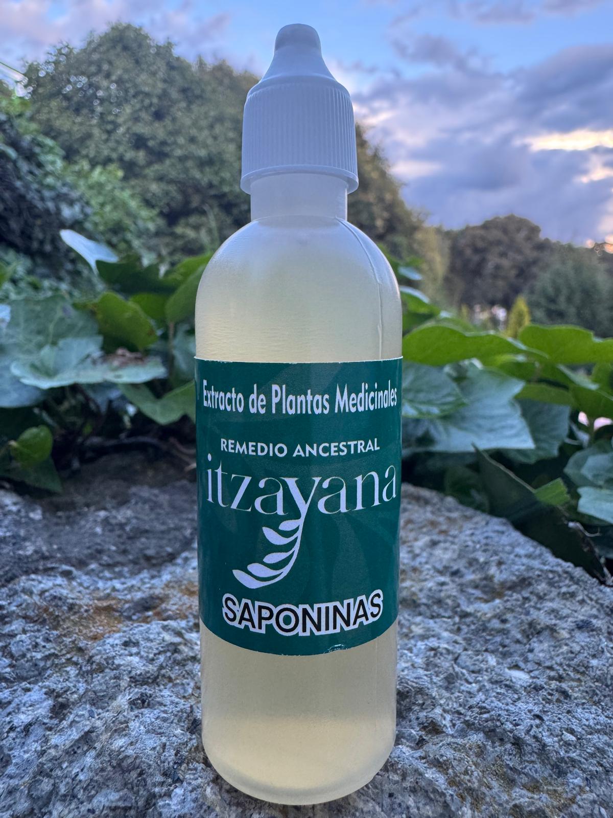 ITZAYANA - SAPONINAS