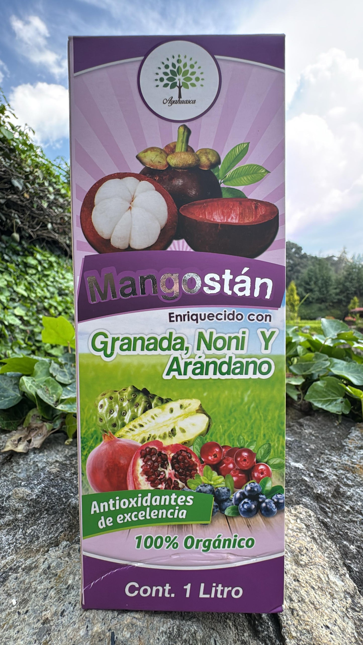TONICO DE MANGOSTAN ENRIQUECIDO CON GRANADA, NONI Y ARANDANO