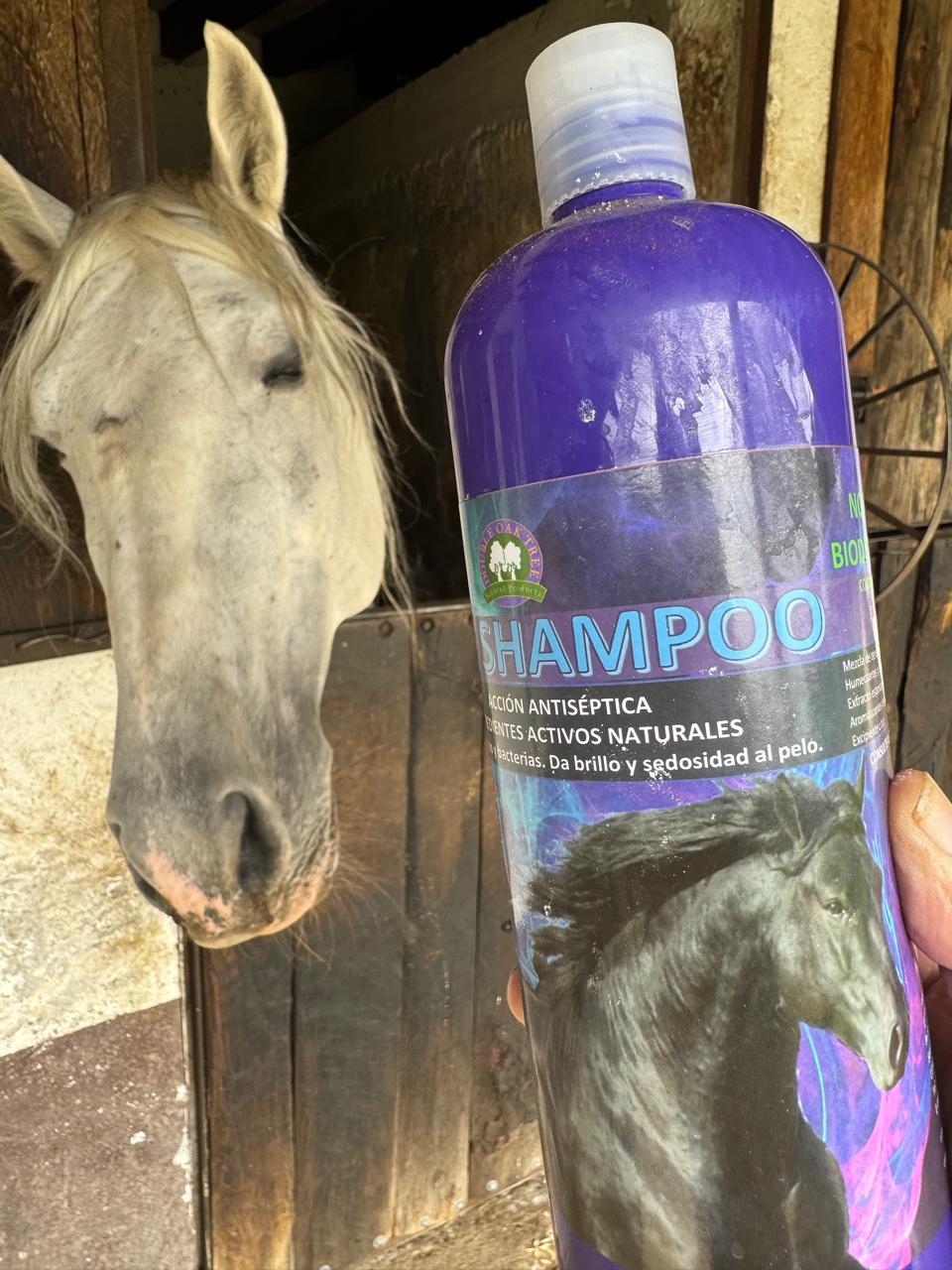 SHAMPOO PARA CABELLO