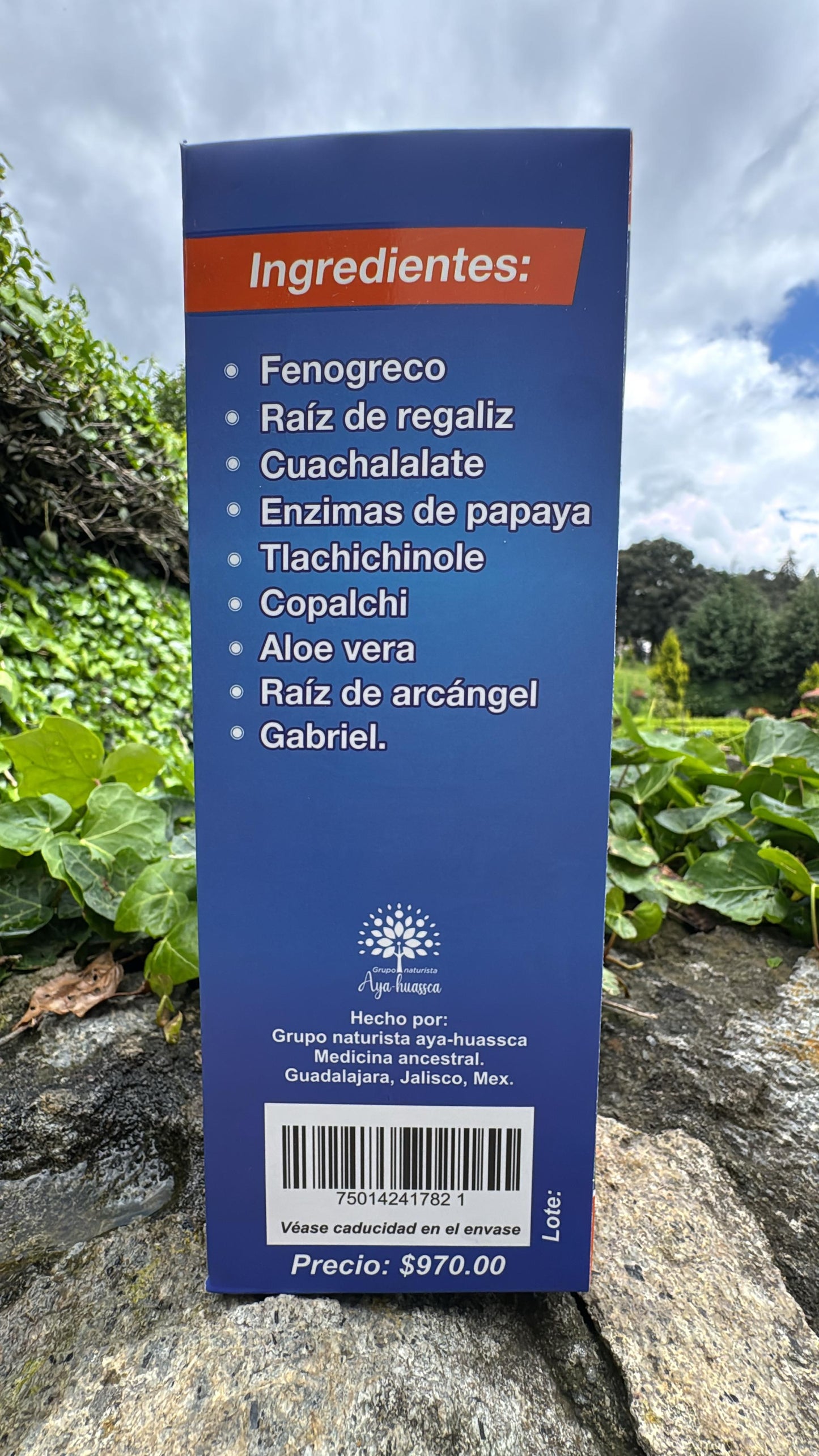 TONICO PARA LA GASTRITIS