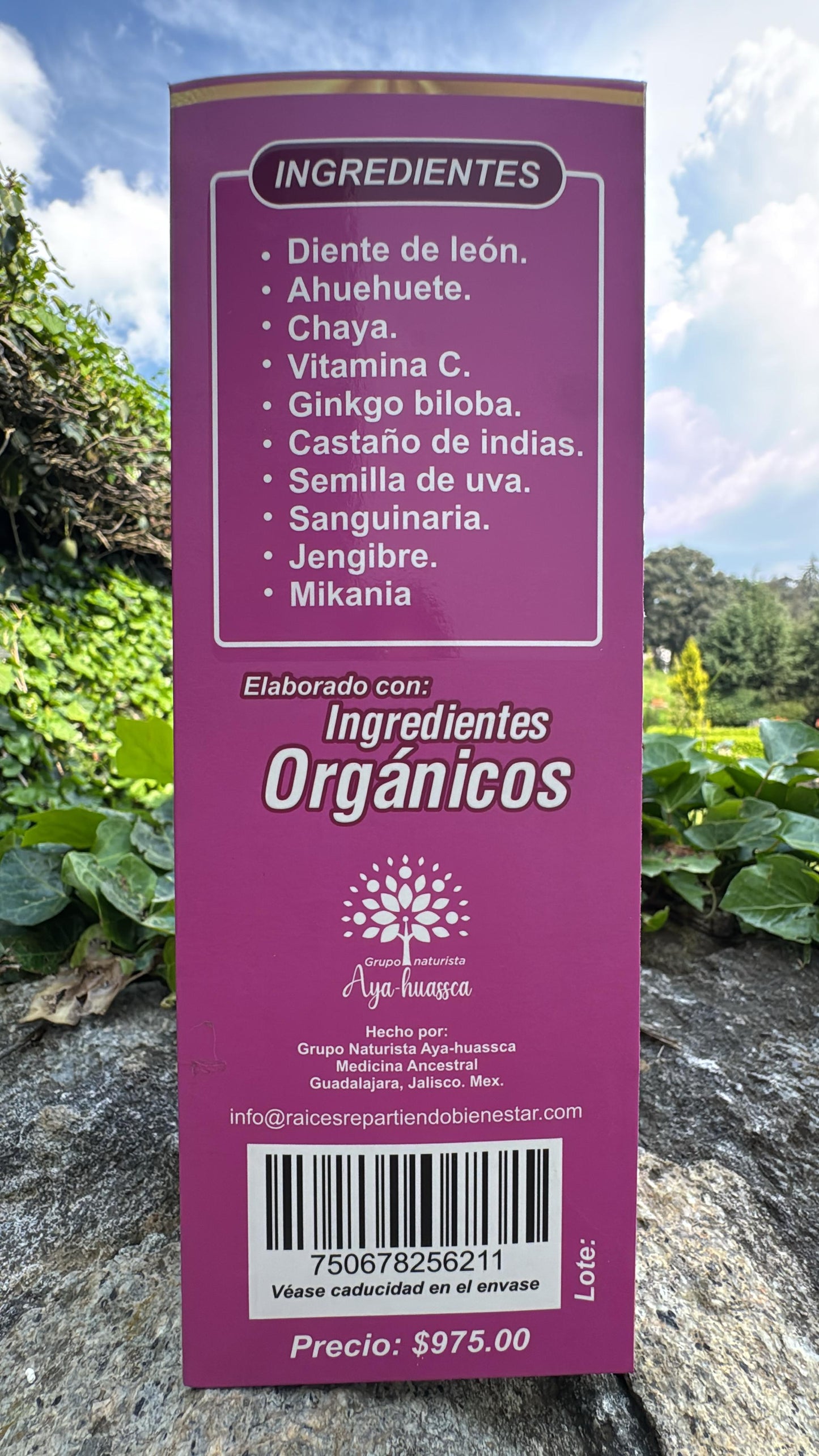 TONICO DE CASTANA DE INDIAS CON GINKGO BILOBA REFORZADO CON MIKANIA