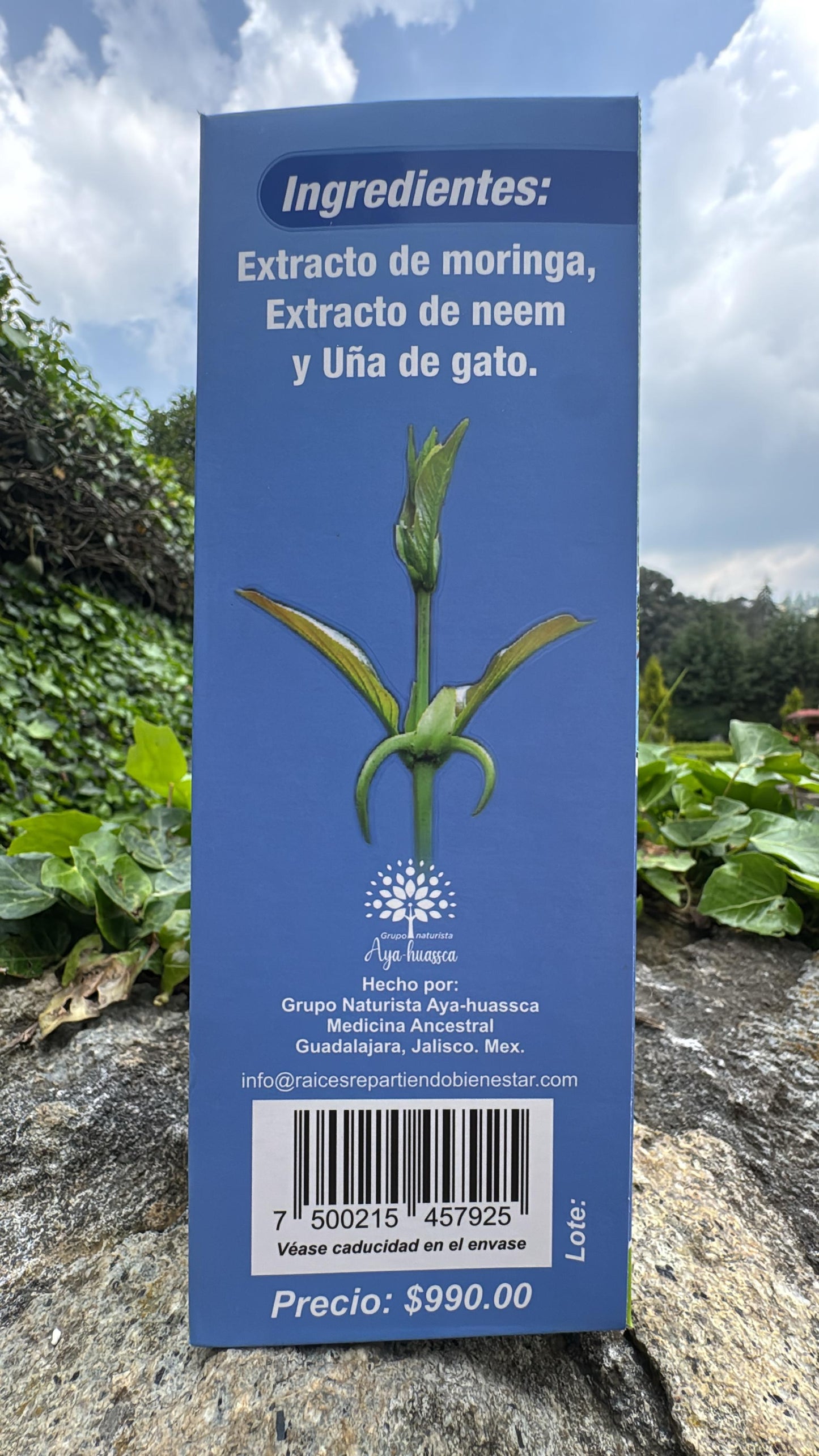 TONICO DE MORINGA ENRIQUECIDO CON NEEM Y UNA DE GATO REGULA LOS NIVELES DE GLUCOSA EN LA SANGRE