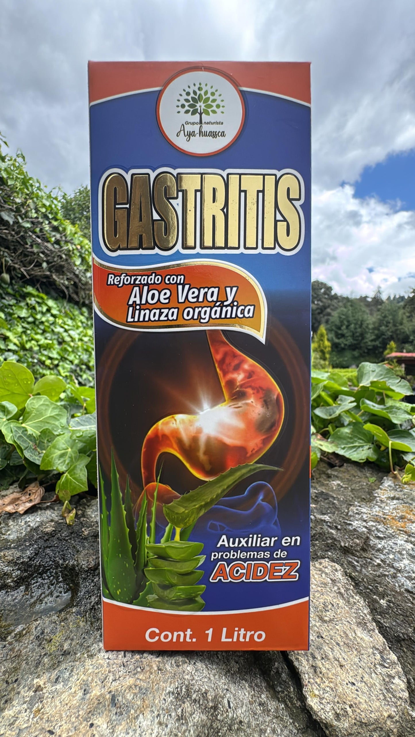 TONICO PARA LA GASTRITIS