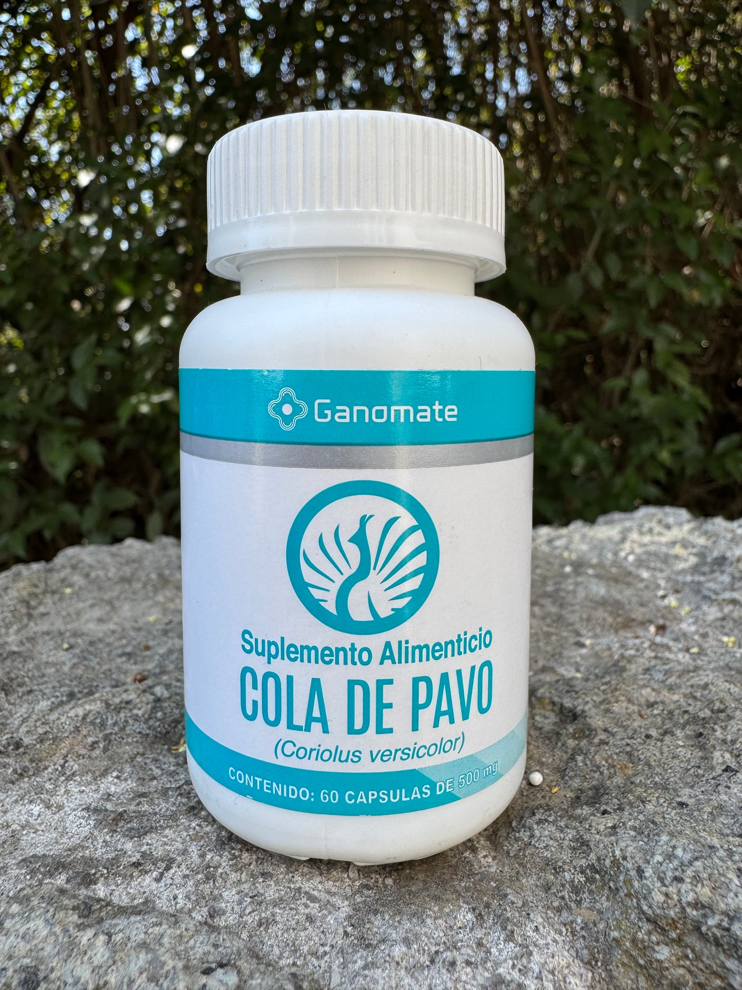 HONGO COLA DE PAVO