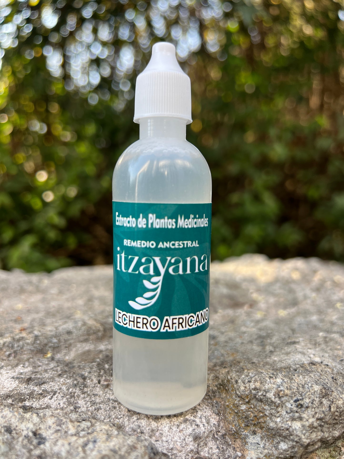 ITZAYANA - TINTURA DE LECHERO AFRICANO