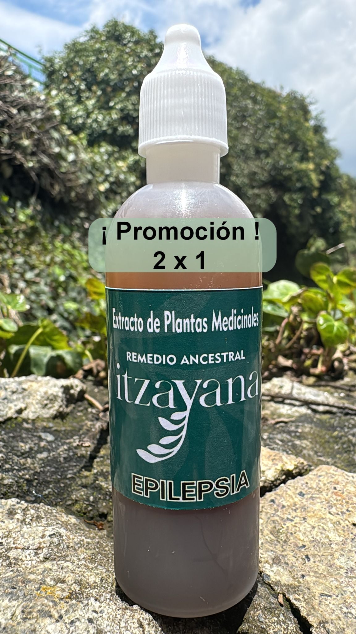 ITZAYANA-TINTURA PARA LA EPILIPSIA
