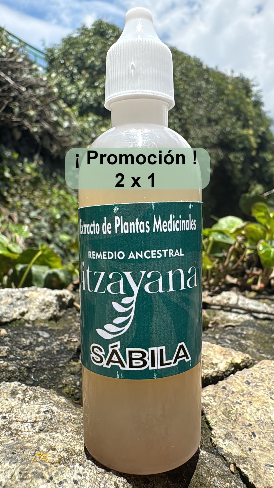 ITZAYANA-TINTURA DE SABILA