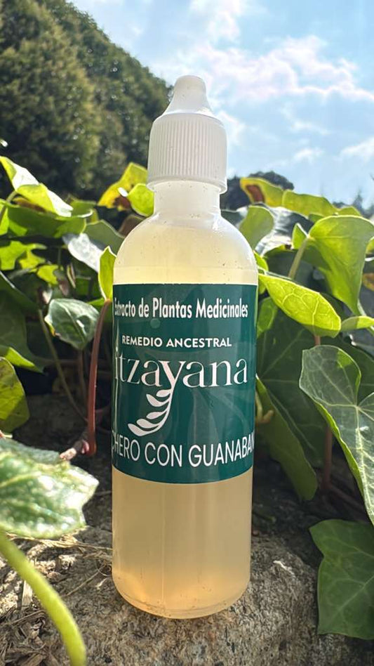 ITZAYANA - TITNTURA DE LECHERO AFRICANO CON GUANABANA