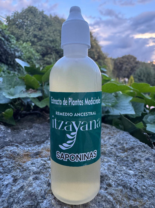 ITZAYANA - SAPONINAS