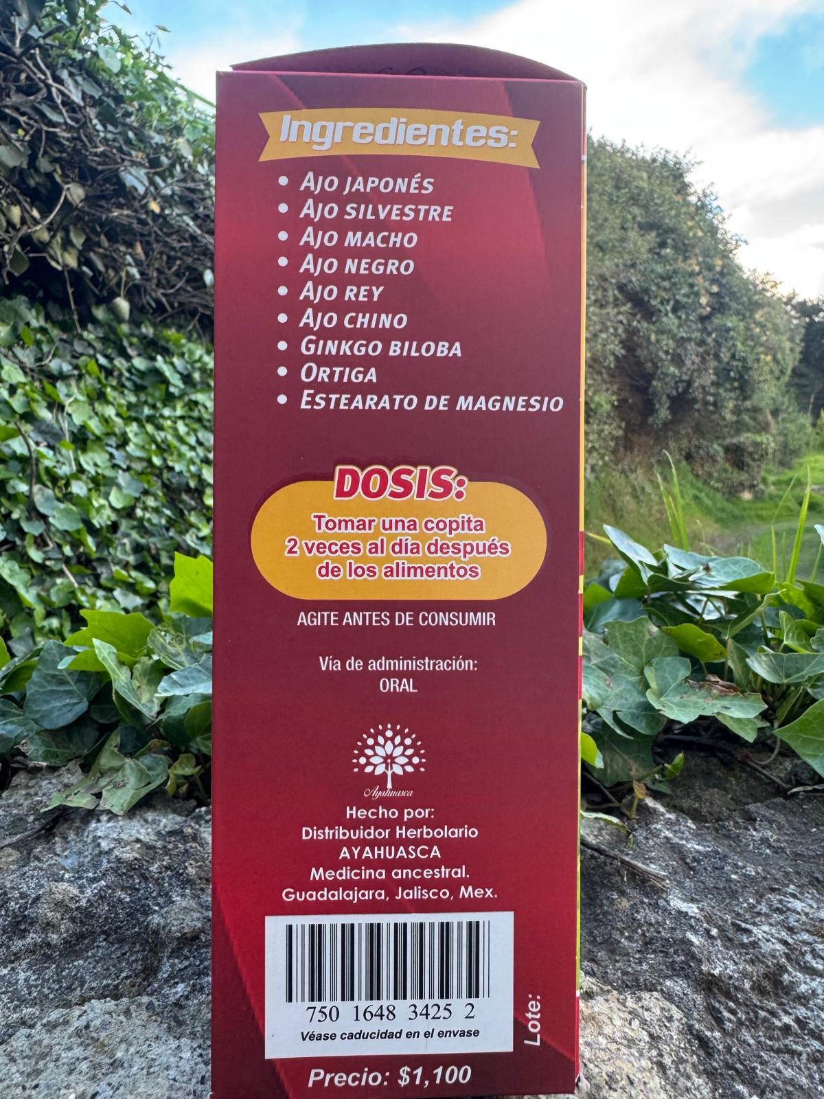 TONICO 6 AJOS REFORZADO CON GINKO BILOBA
