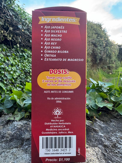 TONICO 6 AJOS REFORZADO CON GINKO BILOBA
