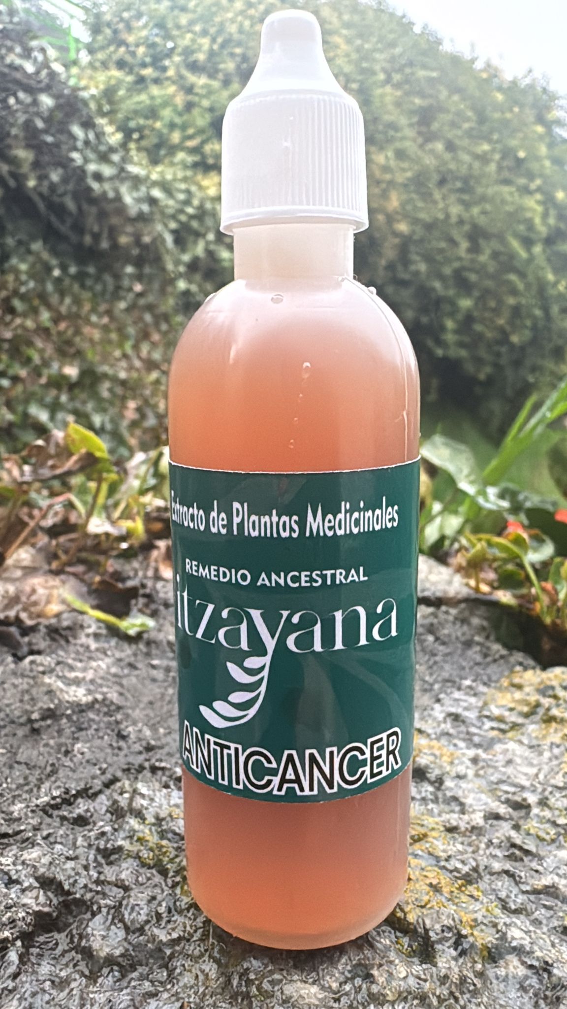 ITZAYANA-TINTURA ANTICANCER