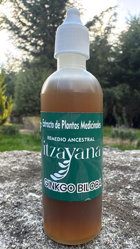 ITZAYANA-TINTURA DE GINKO BILOBA