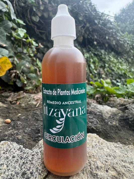 ITZAYANA-TINTURA PARA LA CIRCULACION