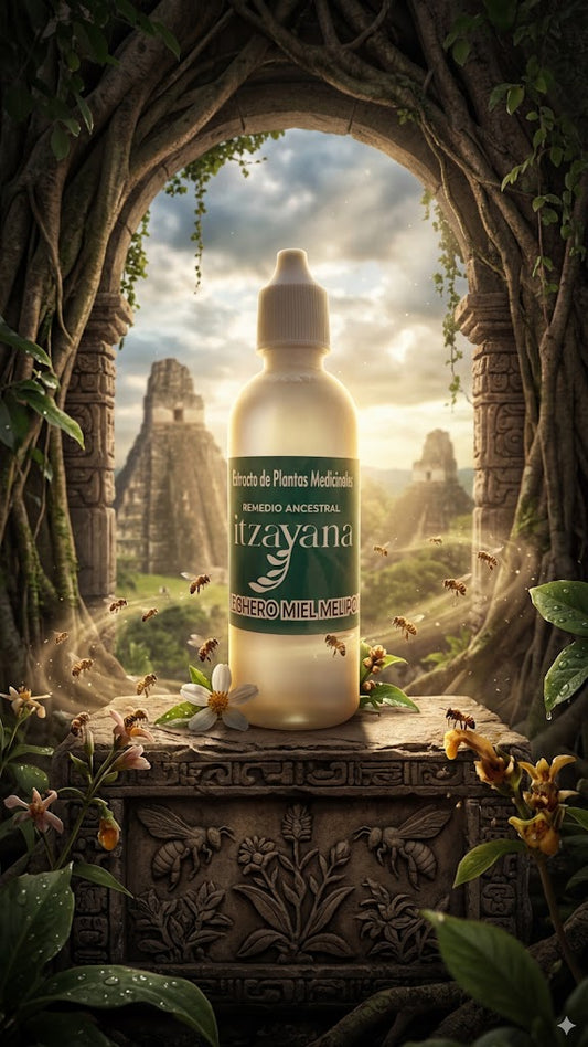 ITZAYANA - TINTURA DE LECHERO AFRICANO CON MIEL MELIPONA