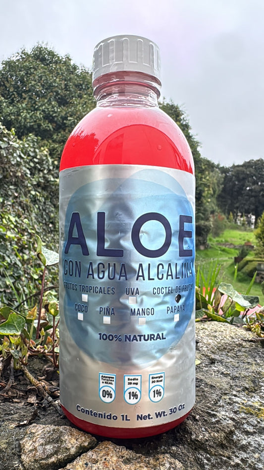 SUPLEMENTO ALIMENTICIO ALOE
