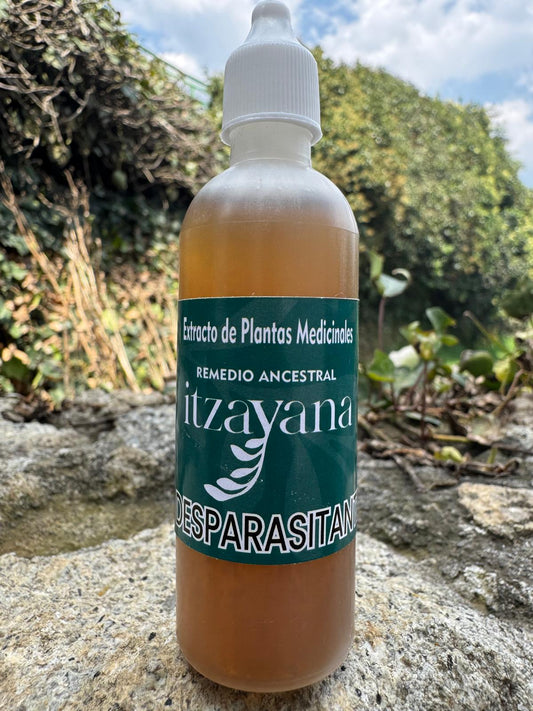 ITZAYANA- TINTUTA DESPARASITANTE
