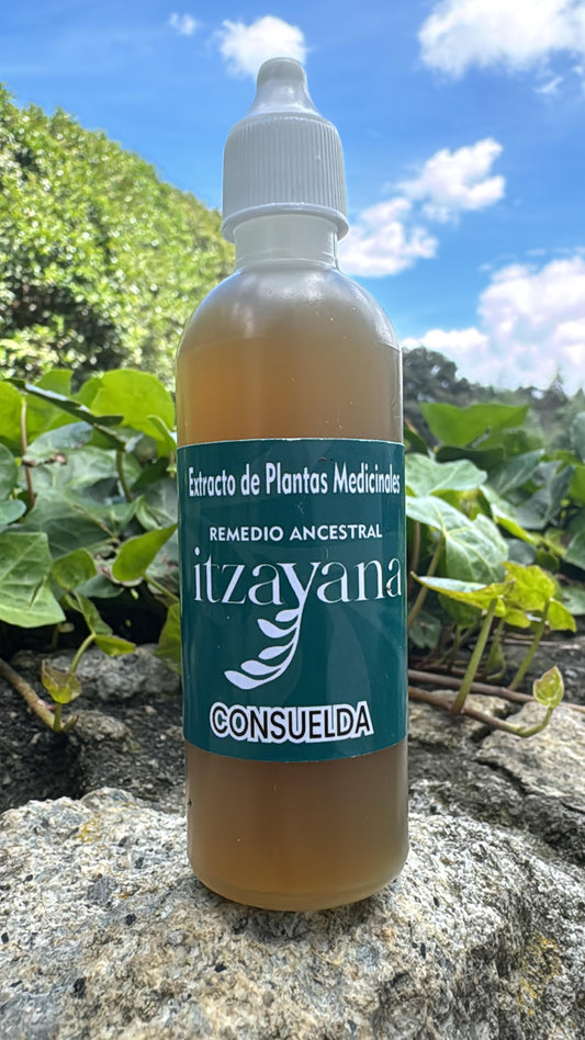 ITZAYANA - TINTURA DE CONSUELDA