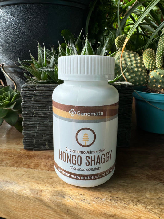 HONGO SHAGGI