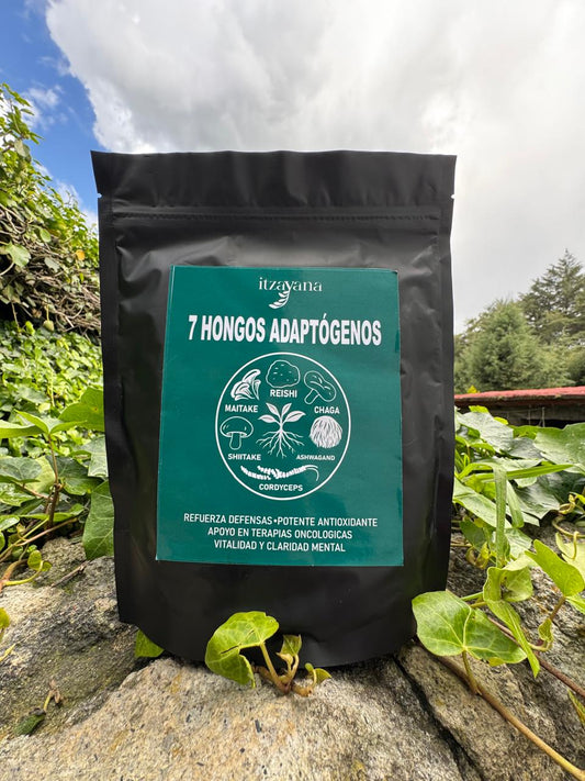ITZAYANA- 7 HONGOS ADAPTOGENOS