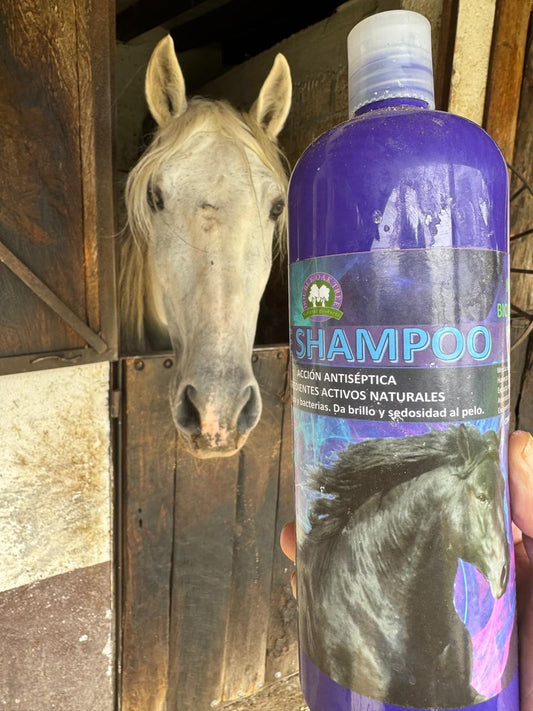 SHAMPOO PARA CABELLO