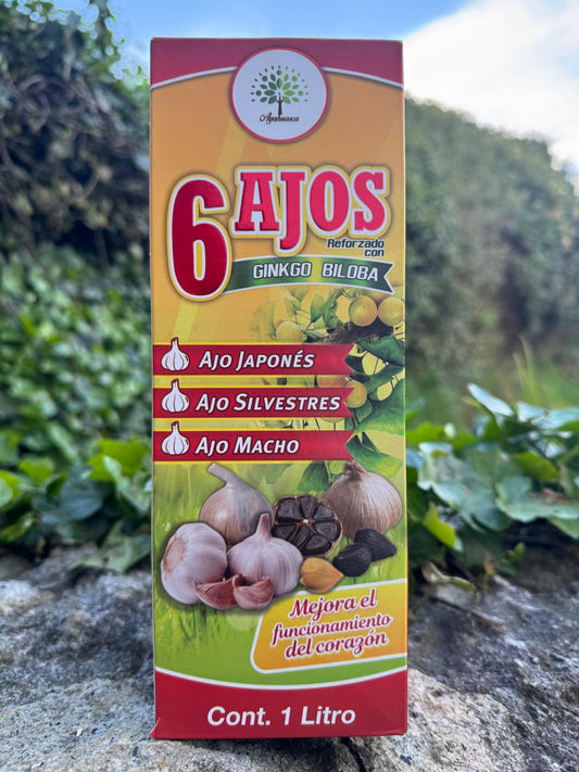 TONICO 6 AJOS REFORZADO CON GINKO BILOBA