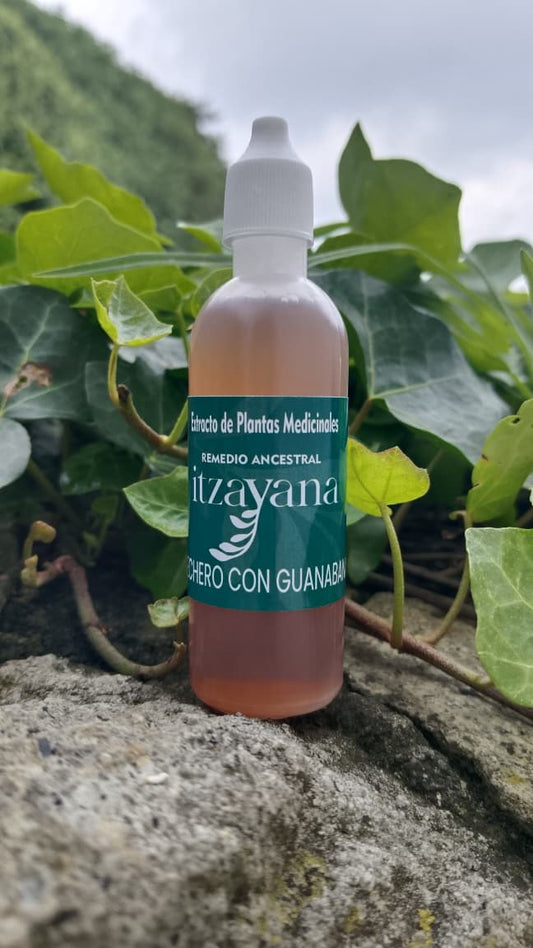 ITZAYANA - TITNTURA DE LECHERO AFRICANO CON GUANABANA