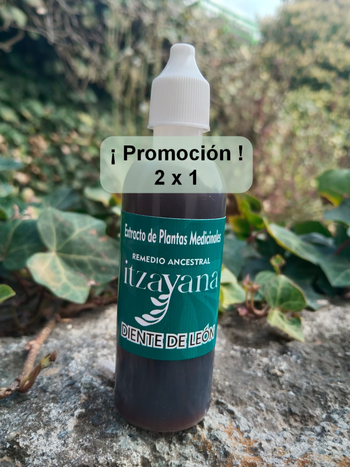 ITZAYANA - TINTURA DE DIENTE DE LEON