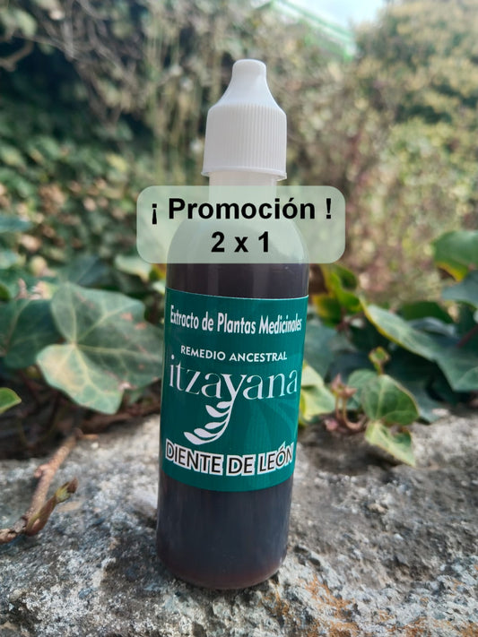ITZAYANA - TINTURA DE DIENTE DE LEON