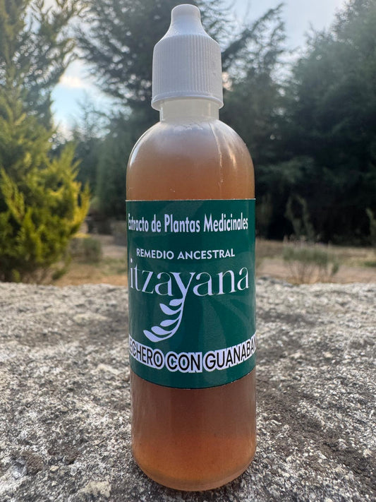 ITZAYANA - TITNTURA DE LECHERO AFRICANO CON GUANABANA