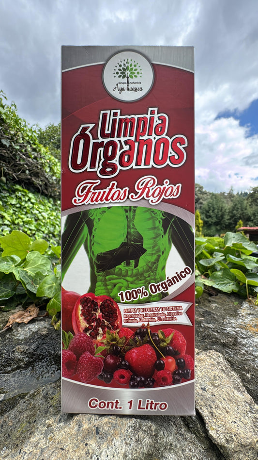 TONICO LIMPIA ORGANOS CON FRUTOS ROJOS