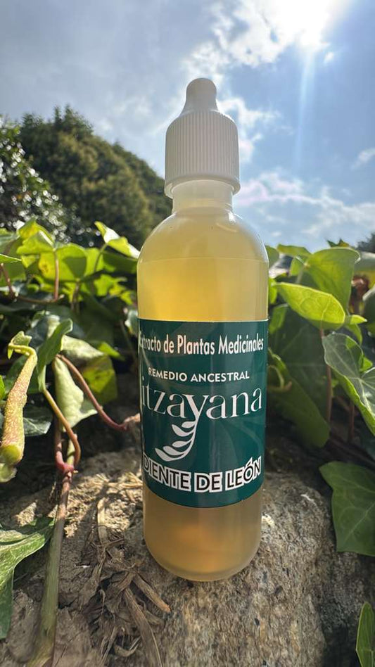 ITZAYANA - TINTURA DE DIENTE DE LEON