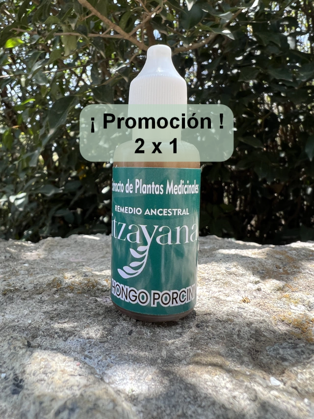 ITZAYANA - TINTURA DE HONGO PORCINI