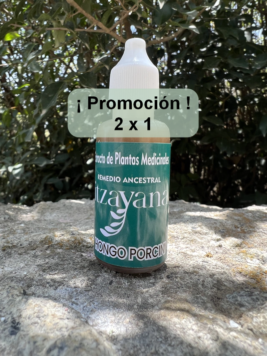 ITZAYANA - TINTURA DE HONGO PORCINI