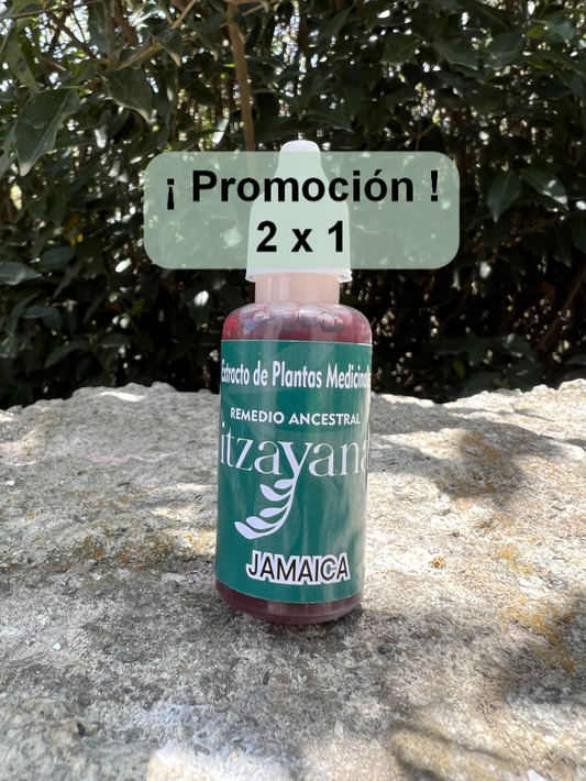 ITZAYANA - TINTURA DE JAMAICA