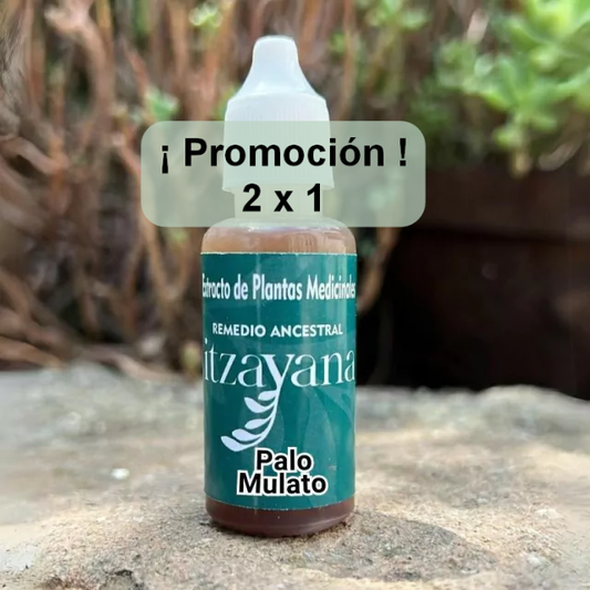 ITZAYANA - TINTURA PALO MULATO