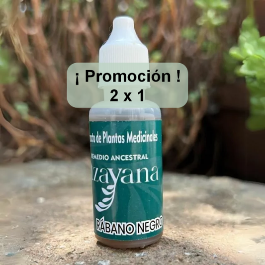 ITZAYANA - TINTURA DE RÁBANO NEGRO