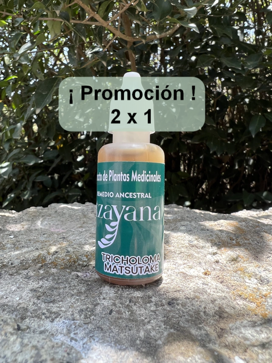 ITZAYANA - TINTURA DE TRICHOLOMA MATSUKE