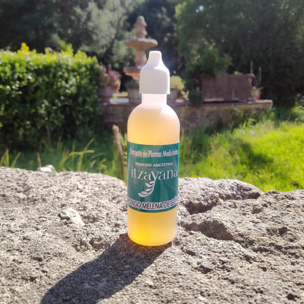 ITZAYANA-TINTURA HONGO MELENA DE LEON