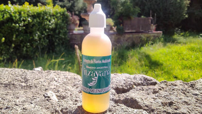 ITZAYANA-TINTURA HONGO MELENA DE LEON